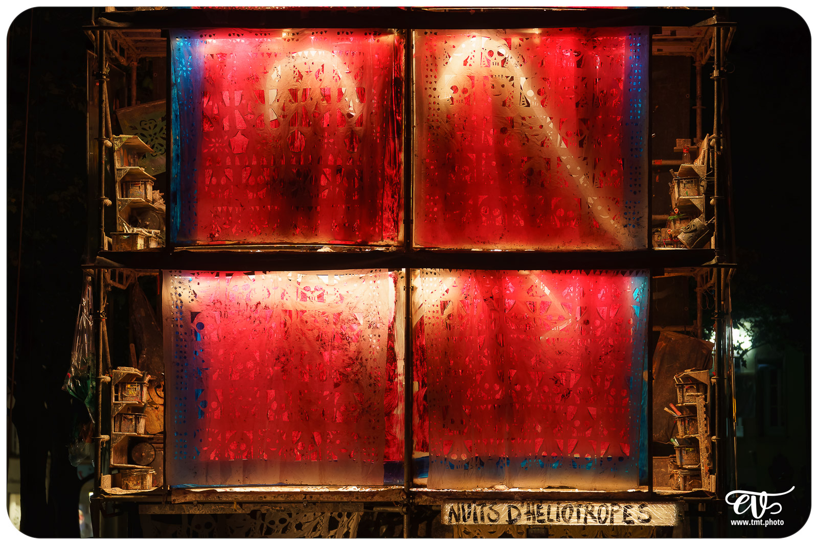 TMTPHOTO LA TORTUE DE GAUGUIN 011